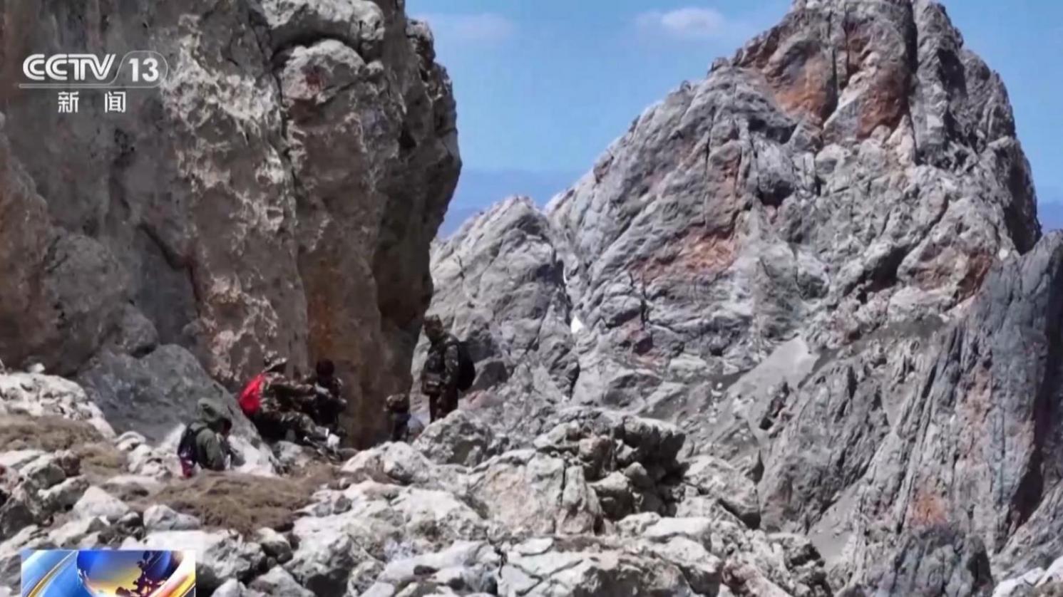 紅外相機里有什么?荒漠貓、兔猻……含“野”量不要太高