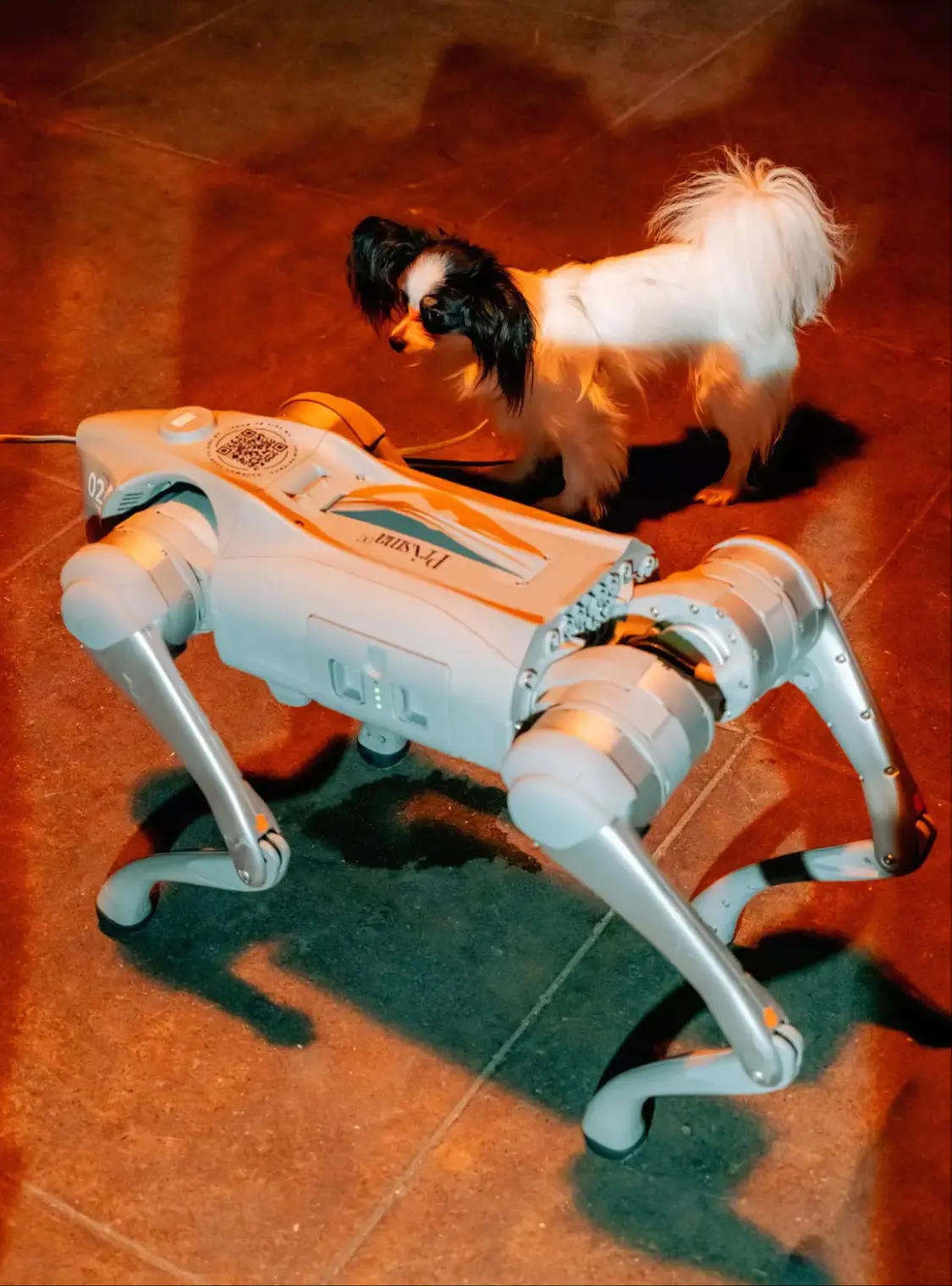 舊金山地下“賽博格斗場”走紅:中國人形機(jī)器人鐵籠對(duì)戰(zhàn),一票難求 波士頓動(dòng)力機(jī)器狗Spot